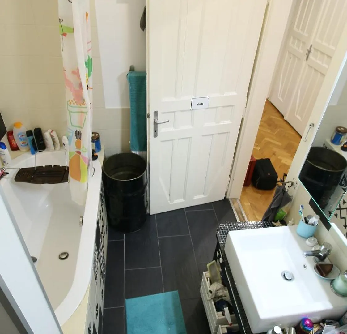 Cosy Loft Flat Next To The Margaret Island Apartment Budapest 0*,  Hungary